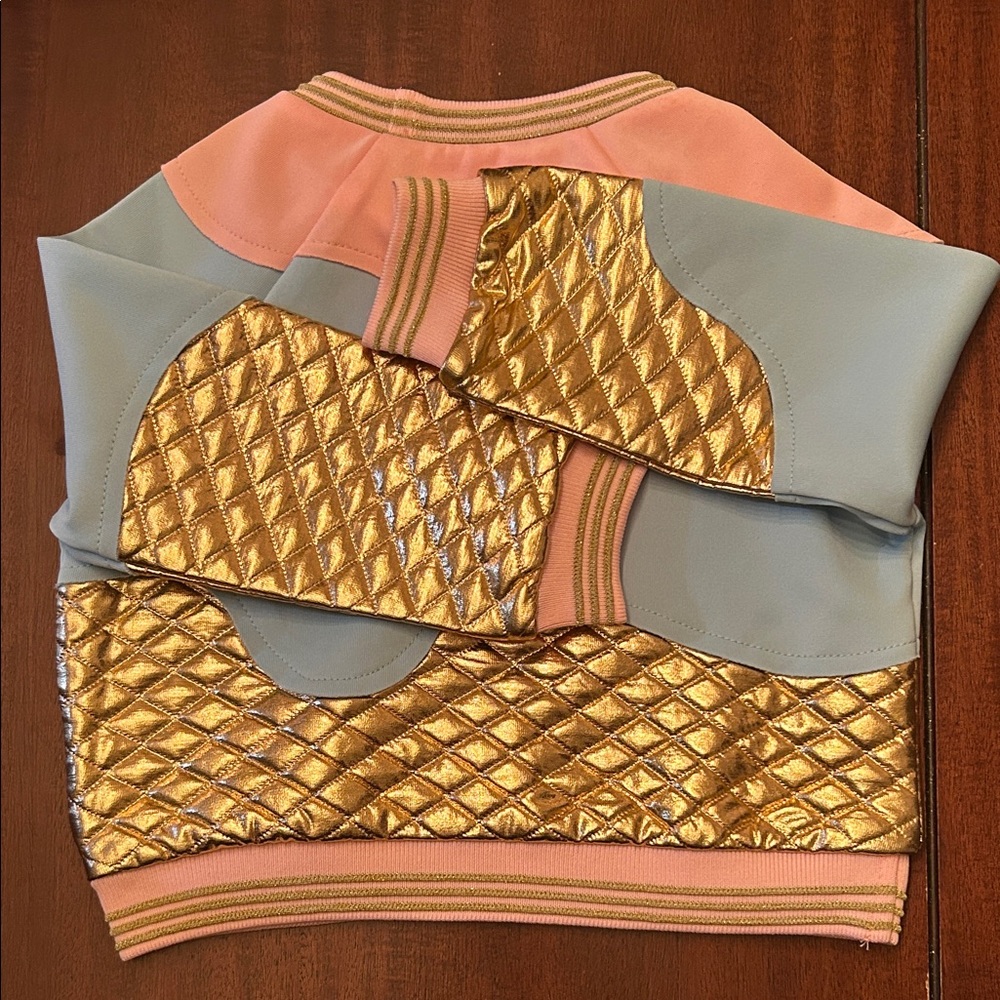 Truly Me Pink and Blue Sweatshirt with Gold Accents - Picture 4 of 4